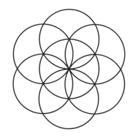Sarno Sachs Method icon