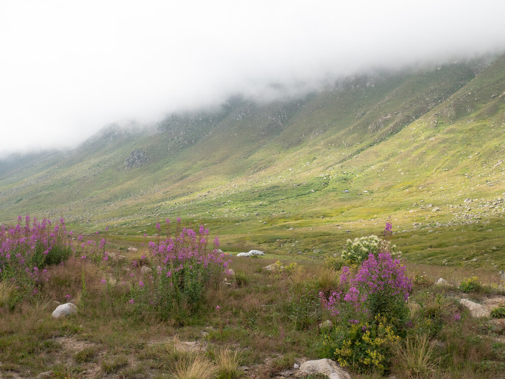 Yayla landscape